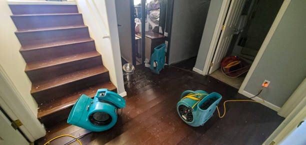 Best Residential water damage restoration  in Warrenton, MO