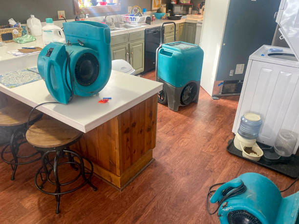 Best 24-hour water damage restoration  in Warrenton, MO
