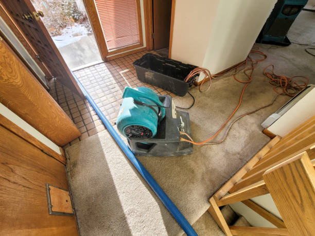 Reliable Warrenton, MO Water damage restoration Solutions
