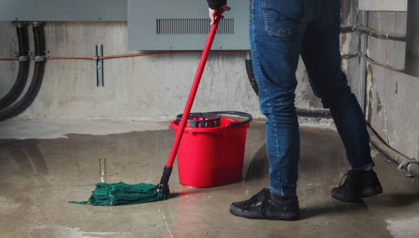 Best Flood restoration services  in Warrenton, MO