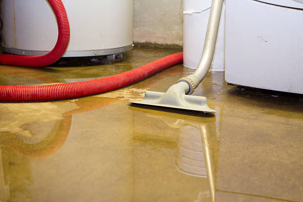 Trusted Warrenton, MO Water damage restoration Experts