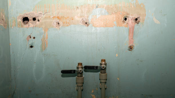 Best Carpet water damage restoration  in Warrenton, MO