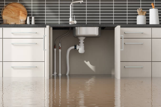 Best Water damage restoration services  in Warrenton, MO