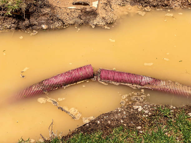 Best Professional water damage repair  in Warrenton, MO